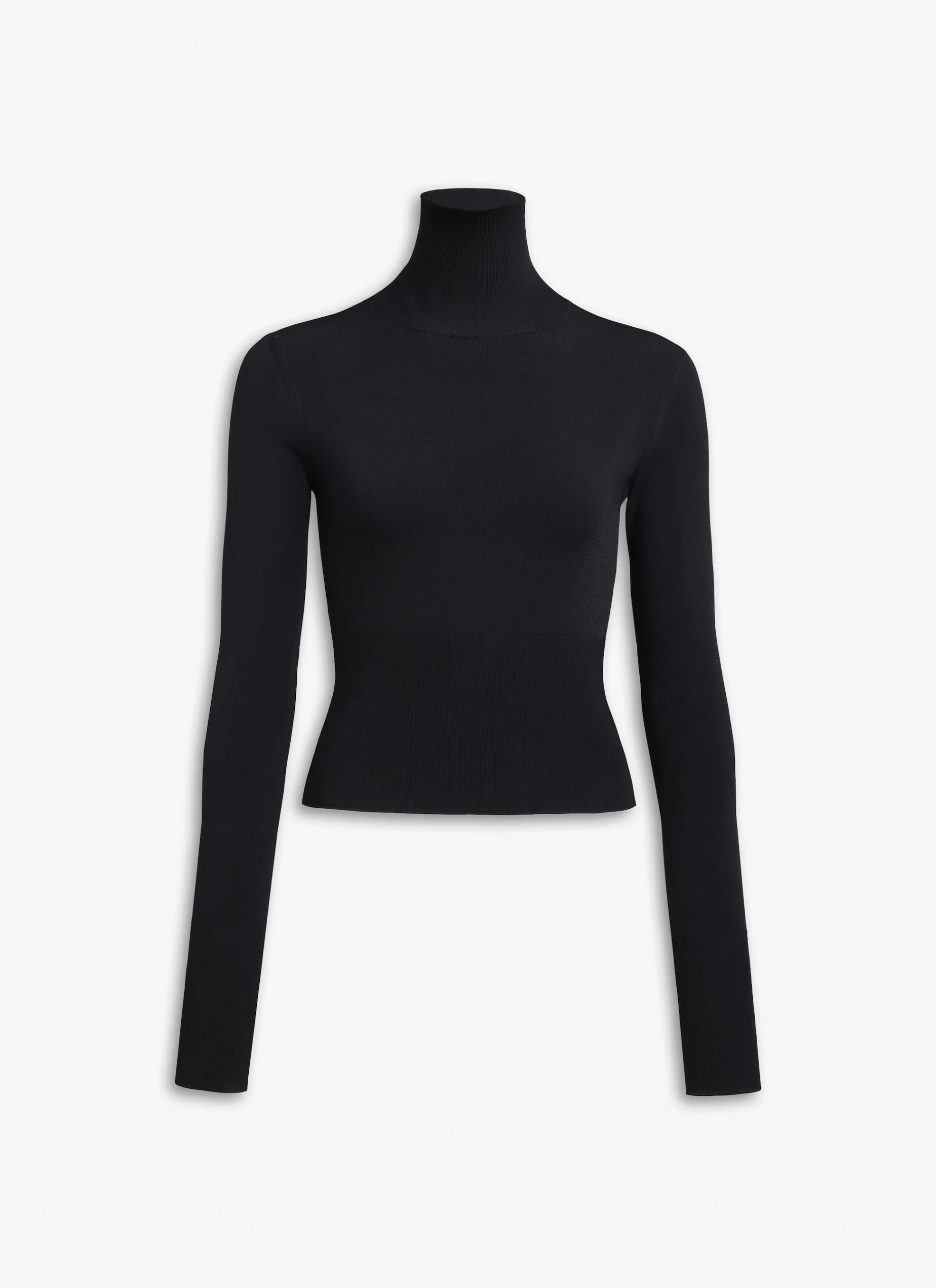FINE KNIT TURTLENECK JUMPER