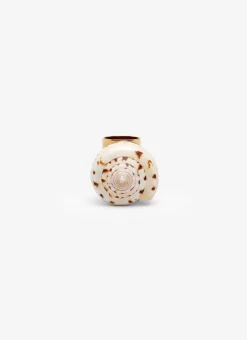 LONG SHELL RING
