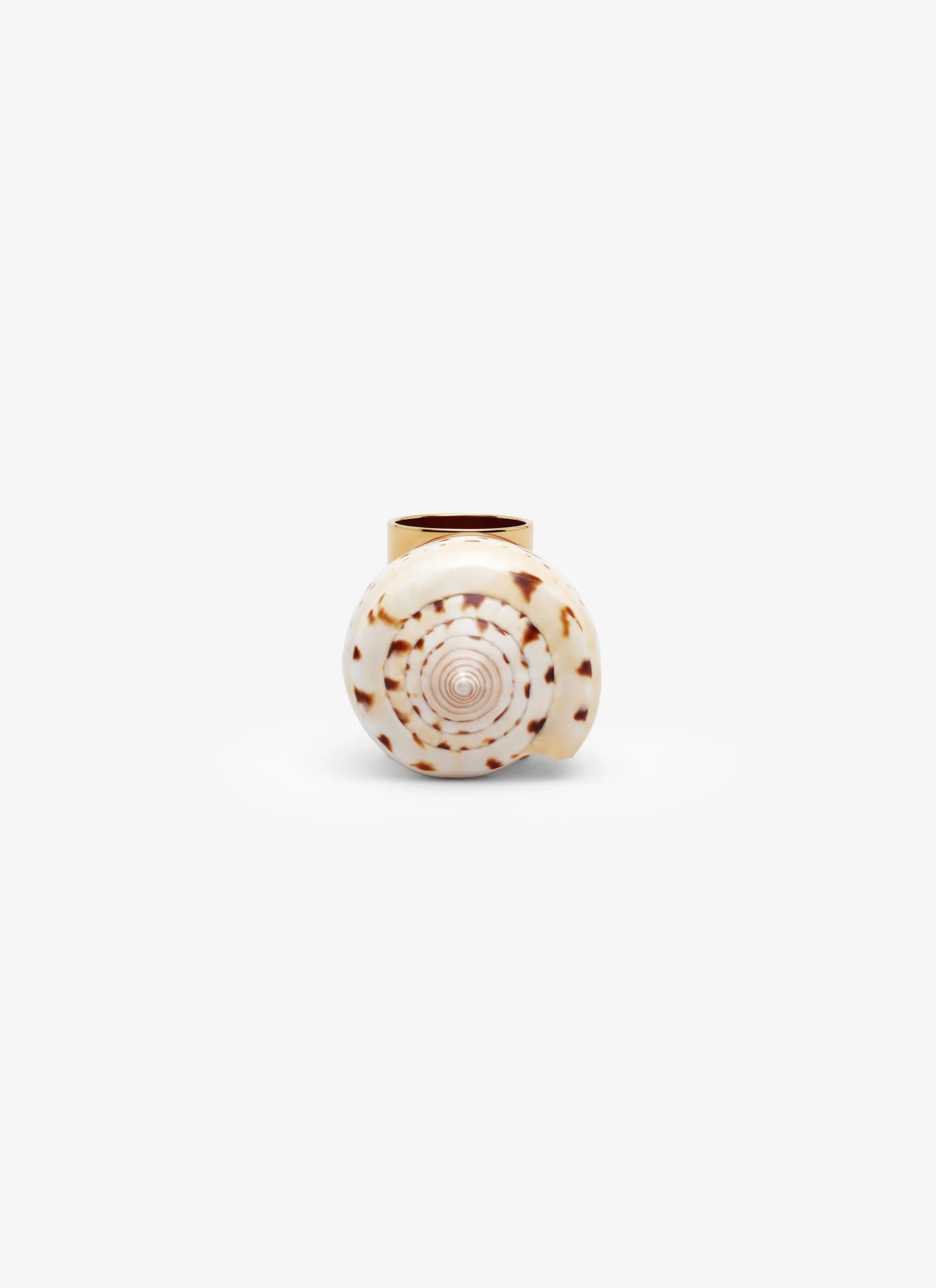 LONG SHELL RING