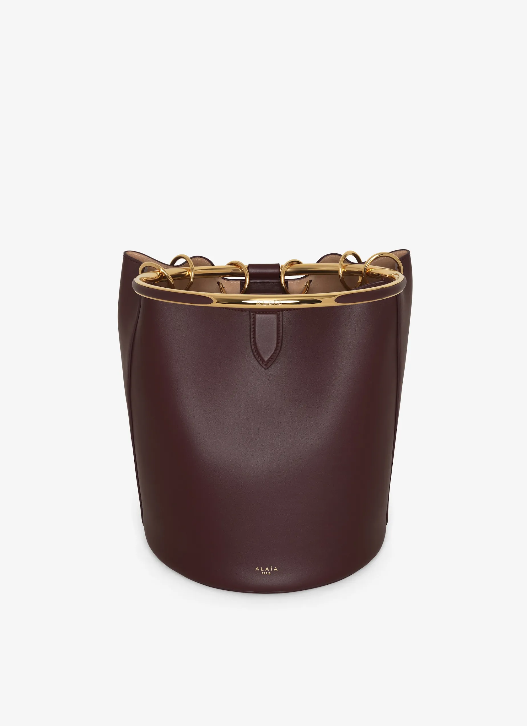 RING LARGE BUCKET BAG IN CALFSKIN